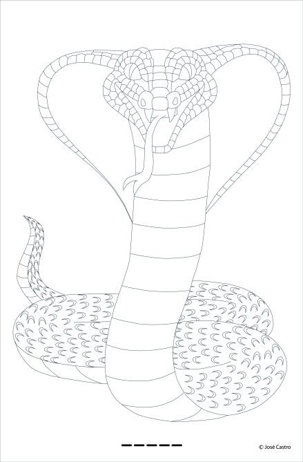 snake-for-coloring
